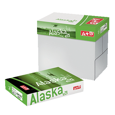 CARTON 5 RAMETTES 500 FEUILLES A+B ALASKA 21 A4 80G BLANC