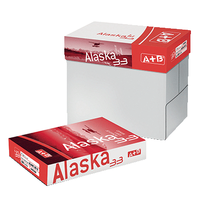 CARTON 5 RAMETTES 500 FEUILLES A+B ALASKA 33 A4 PERFORE 4 TROUS 80G BLANC