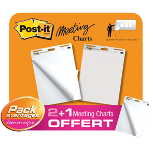 LOT 2 BLOCS + 1 GRATUIT 30 FEUILLES POST-IT MEETING CHART L63.5 X H77.4CM BLANC UNI