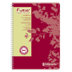 CAHIER RELIURE INTEGRALE RECYCLE CLAIREFONTAINE FOREVER A4 QUADRILLE 5X5MM 100 PAGES 70G