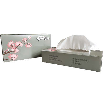 BOITE 100 MOUCHOIRS BLANC 2PLIS 20X21CM
