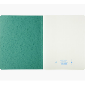 PIQURE FOLIOTEE FORMAT 32X25CM QUADRILLE 5X5MM REFERENCE 6410E 80 PAGES