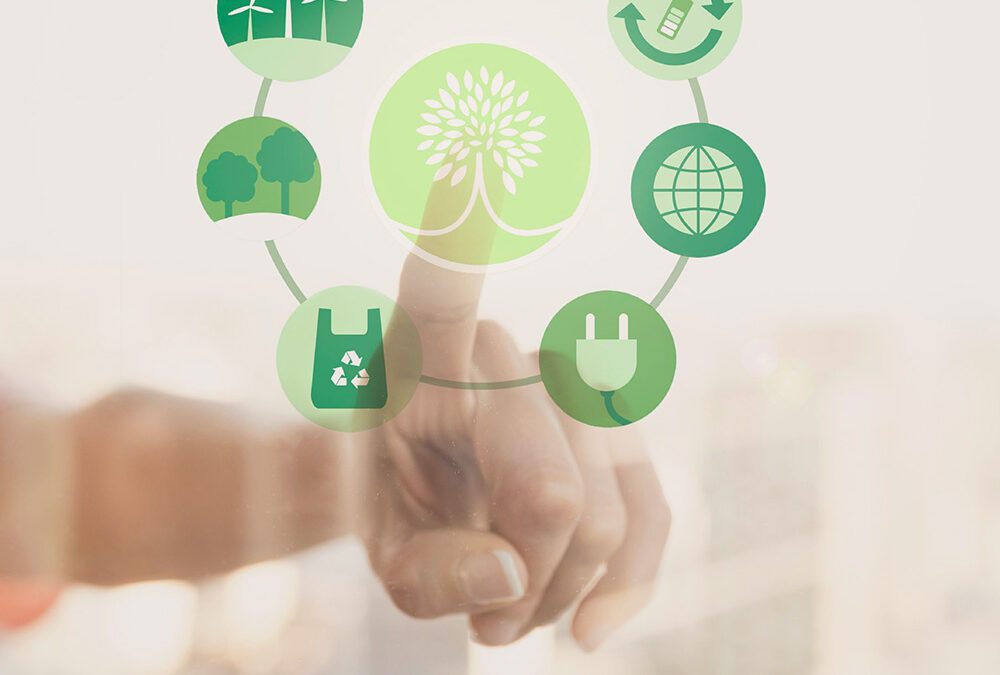 RSE achat : optimisez vos achats responsables