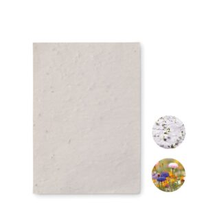 ASIDO - Papier A6 graines de fleurs