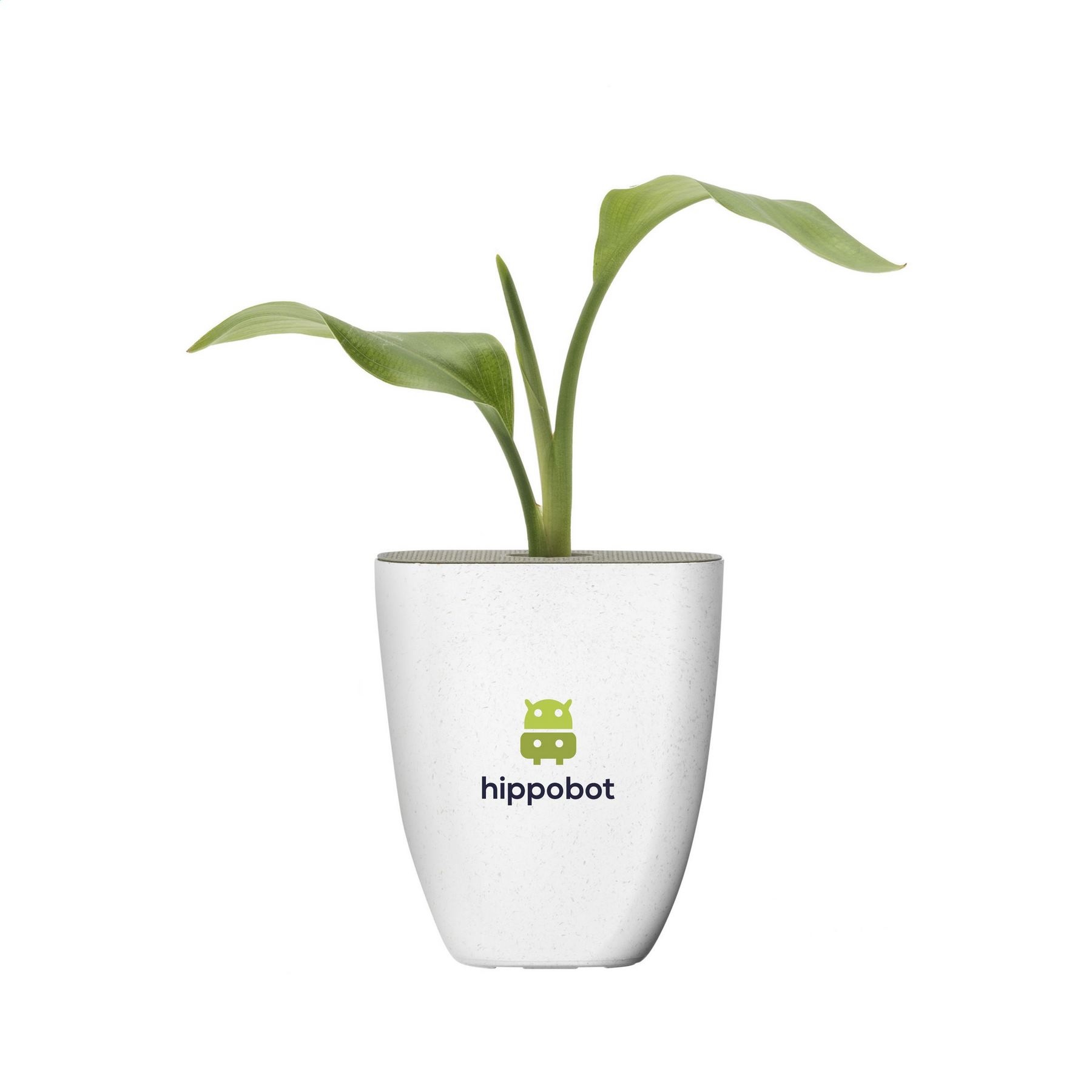 Plantes,Graines & plantes - Made in Europe,Biosourcé