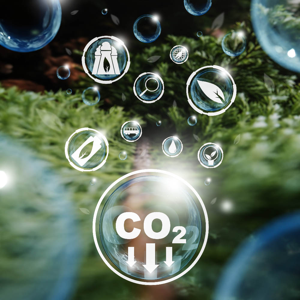 transparence-impact-carbone-produit-lpdar